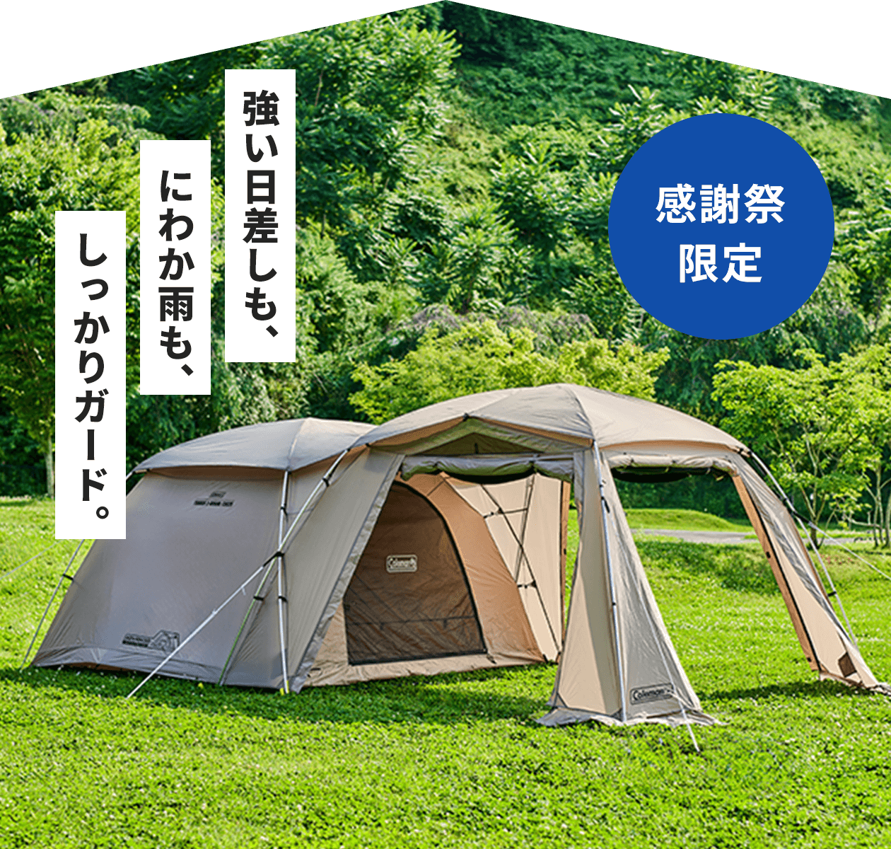 3025専用ルーフフライ
