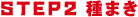 STEP2 種まき
