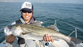 子供の頃から大好きだった釣り。これは東京湾の大型スズキ