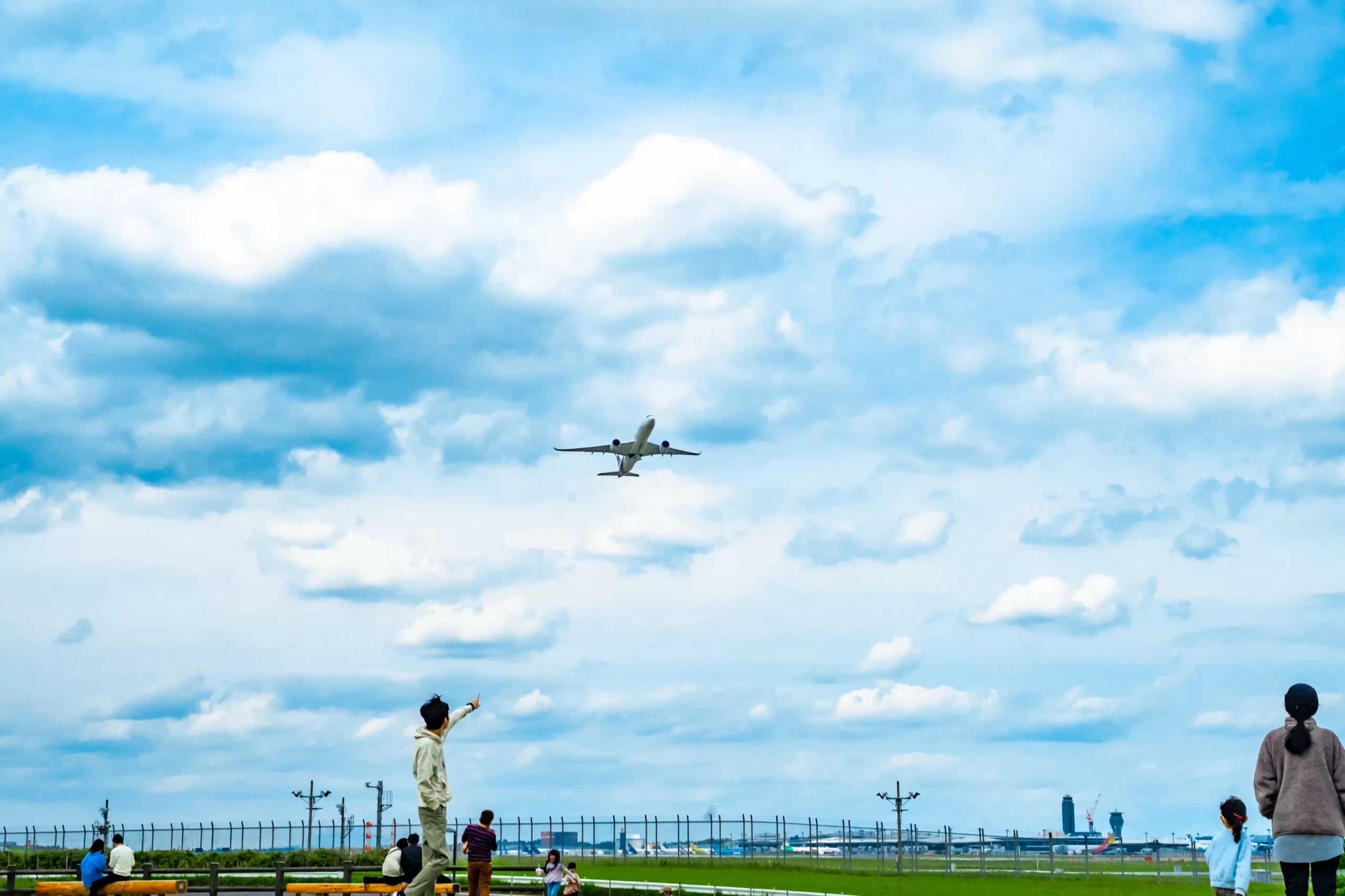 ひこうきの丘公園で飛行機を眺めながらランチ