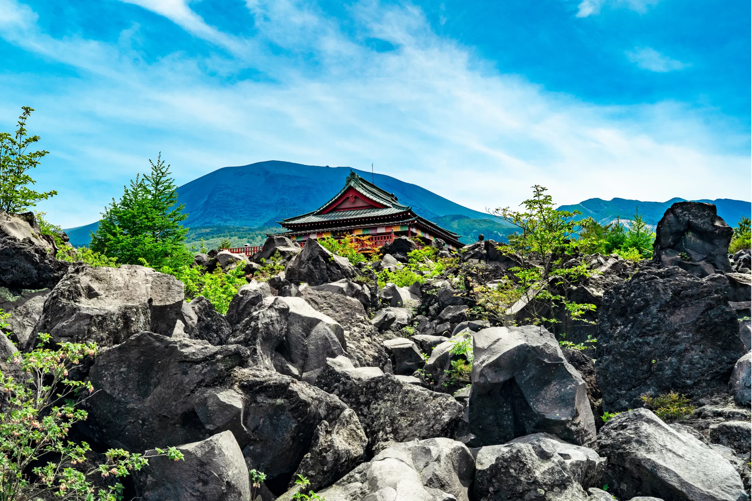 発見の旅