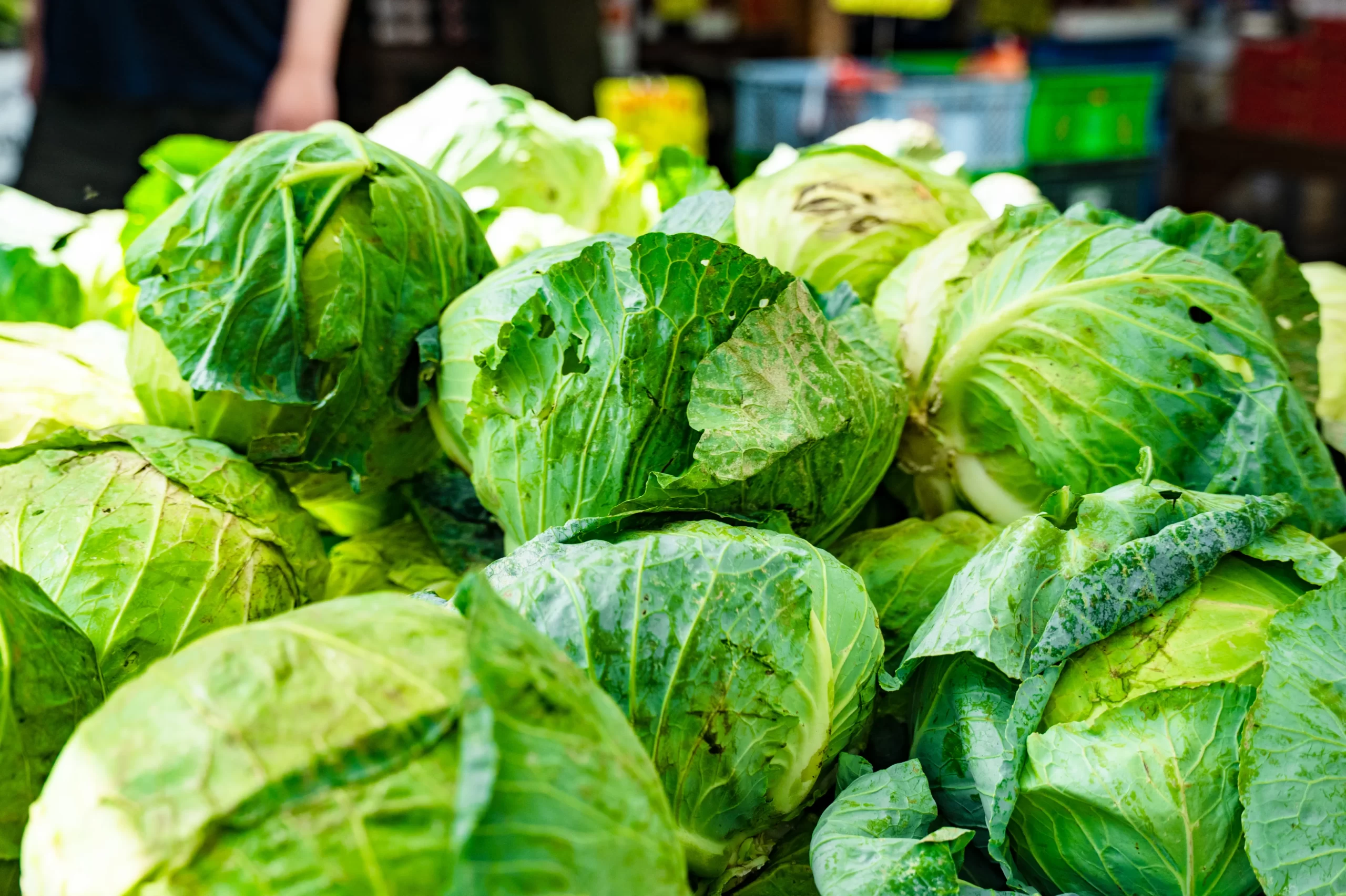久保農園直売所で新鮮な野菜も