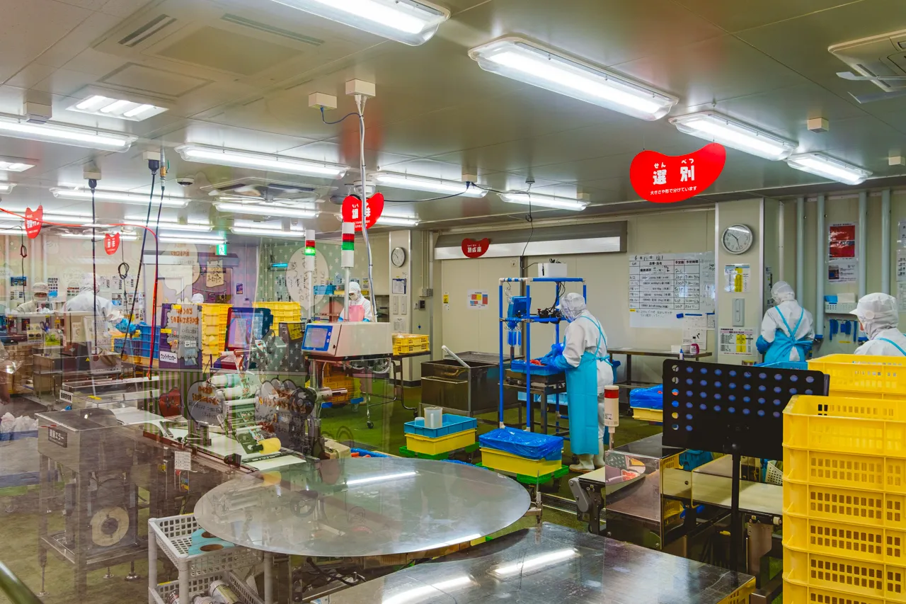 めんたいパークびわ湖で工場見学！